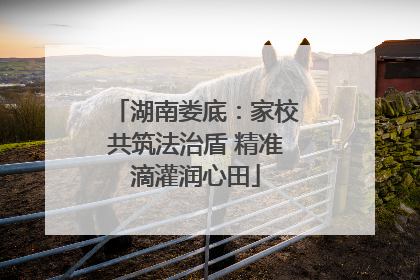 湖南娄底：家校共筑法治盾 精准滴灌润心田