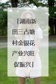 湖南新田三占塘村金银花产业兴旺促振兴
