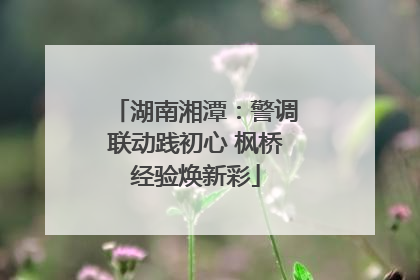 湖南湘潭：警调联动践初心 枫桥经验焕新彩
