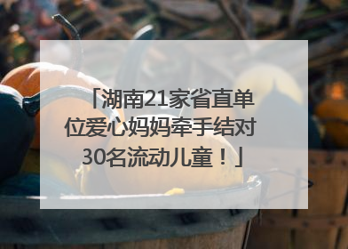 湖南21家省直单位爱心妈妈牵手结对30名流动儿童！