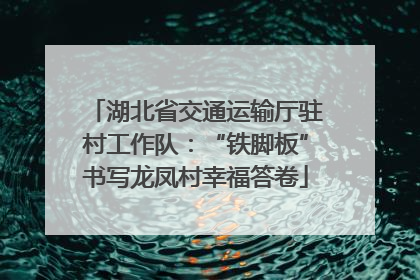 湖北省交通运输厅驻村工作队：“铁脚板”书写龙凤村幸福答卷