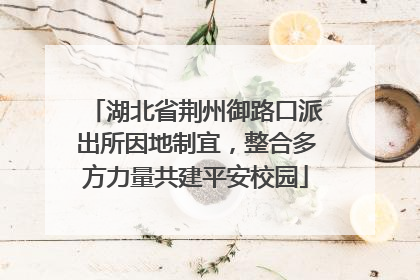 湖北省荆州御路口派出所因地制宜，整合多方力量共建平安校园
