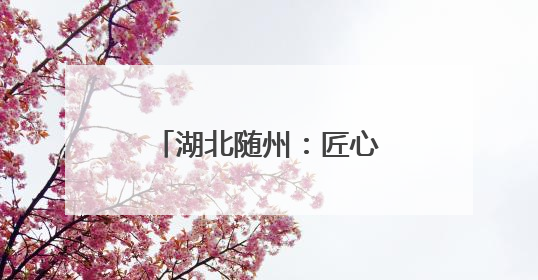 湖北随州：匠心筑牢无线屏障 电波护航华夏盛典