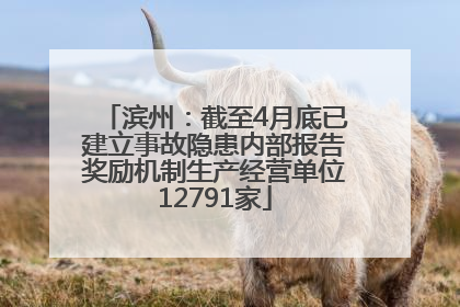 滨州：截至4月底已建立事故隐患内部报告奖励机制生产经营单位12791家