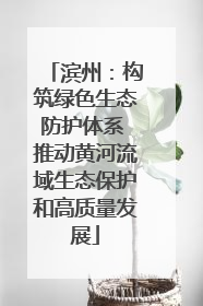 滨州：构筑绿色生态防护体系 推动黄河流域生态保护和高质量发展