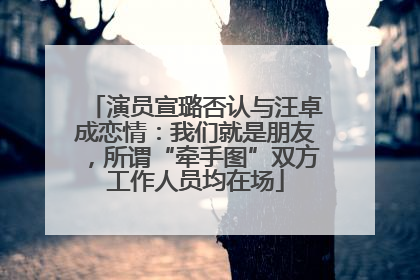 演员宣璐否认与汪卓成恋情：我们就是朋友，所谓“牵手图”双方工作人员均在场