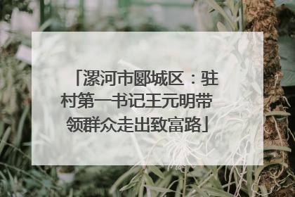 漯河市郾城区：驻村第一书记王元明带领群众走出致富路