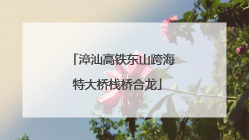 漳汕高铁东山跨海特大桥栈桥合龙