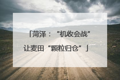 菏泽：“机收会战”让麦田“颗粒归仓”