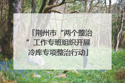 荆州市“两个整治”工作专班组织开展冷库专项整治行动