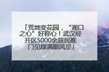 荒地变花园，“湘口之心”好称心！武汉经开区5000余居民推门见绿满眼风景