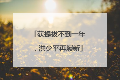 获提拔不到一年，洪少平再履新