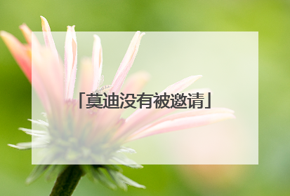 莫迪没有被邀请