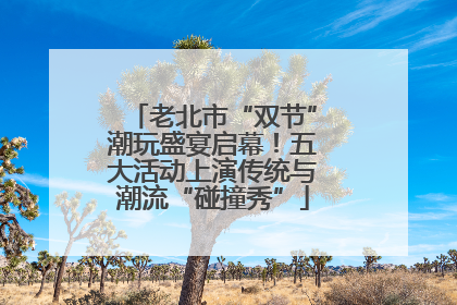 老北市“双节”潮玩盛宴启幕！五大活动上演传统与潮流“碰撞秀”