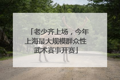 老少齐上场，今年上海最大规模群众性武术赛事开赛