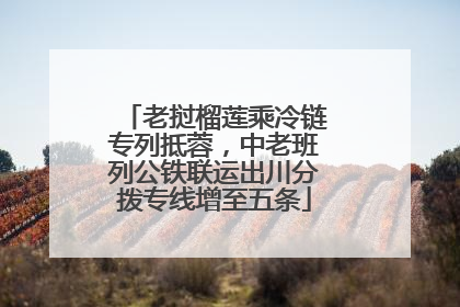 老挝榴莲乘冷链专列抵蓉，中老班列公铁联运出川分拨专线增至五条