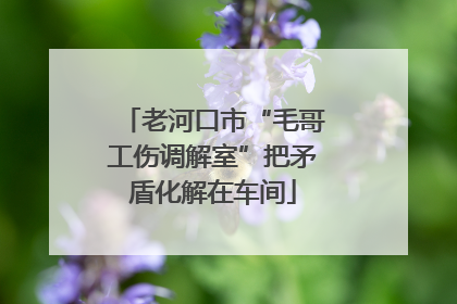 老河口市“毛哥工伤调解室”把矛盾化解在车间
