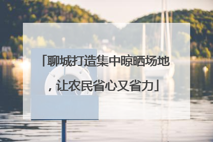 聊城打造集中晾晒场地，让农民省心又省力