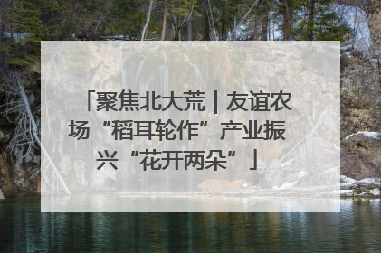聚焦北大荒｜友谊农场“稻耳轮作”产业振兴“花开两朵”