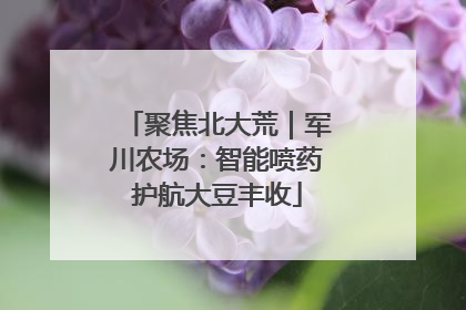 聚焦北大荒｜军川农场：智能喷药护航大豆丰收