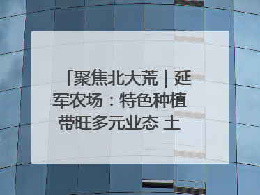 聚焦北大荒｜延军农场：特色种植带旺多元业态 土地焕发新活力