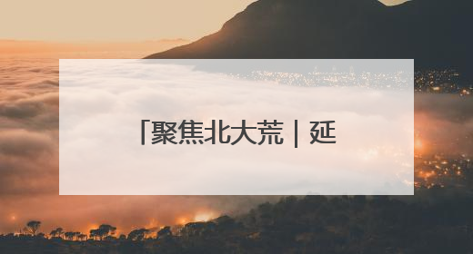 聚焦北大荒｜延军农场：飞防出击 “一喷多效”