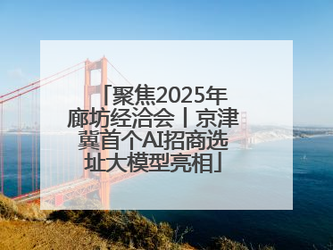 聚焦2025年廊坊经洽会丨京津冀首个AI招商选址大模型亮相