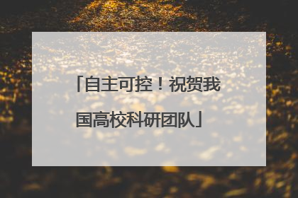 自主可控！祝贺我国高校科研团队