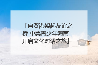 自贸港架起友谊之桥 中美青少年海南开启文化对话之旅