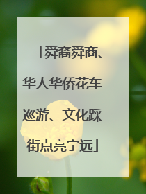 舜裔舜商、华人华侨花车巡游、文化踩街点亮宁远