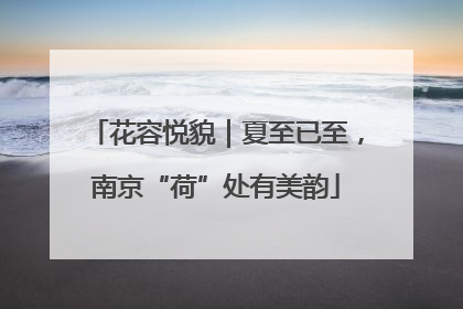 花容悦貌｜夏至已至，南京“荷”处有美韵