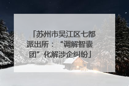 苏州市吴江区七都派出所：“调解智囊团”化解涉企纠纷