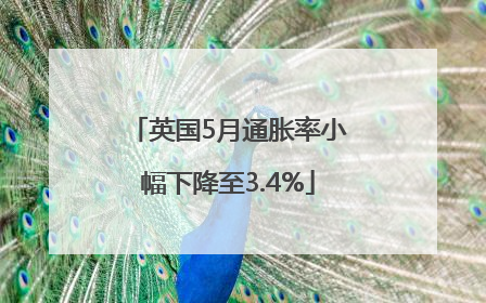 英国5月通胀率小幅下降至3.4%