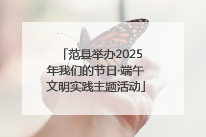 范县举办2025年我们的节日·端午文明实践主题活动