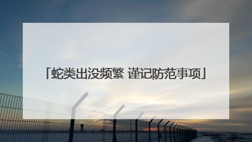 蛇类出没频繁 谨记防范事项