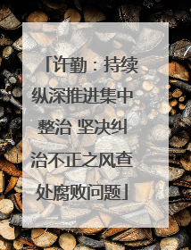 许勤：持续纵深推进集中整治 坚决纠治不正之风查处腐败问题