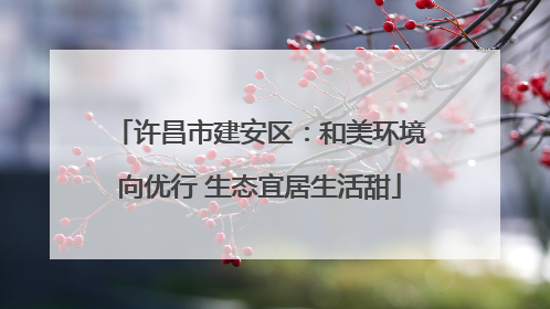 许昌市建安区：和美环境向优行 生态宜居生活甜