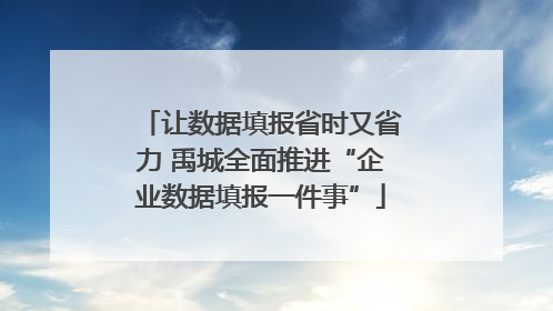 让数据填报省时又省力 禹城全面推进“企业数据填报一件事”