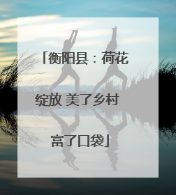 衡阳县：荷花绽放 美了乡村 富了口袋