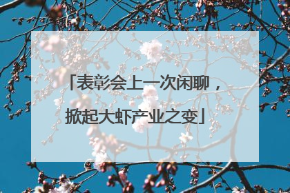 表彰会上一次闲聊，掀起大虾产业之变