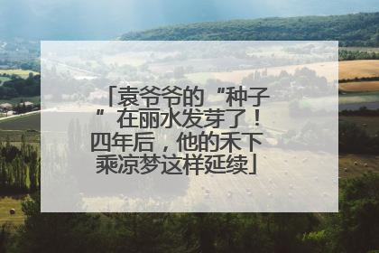 袁爷爷的“种子”在丽水发芽了！四年后，他的禾下乘凉梦这样延续