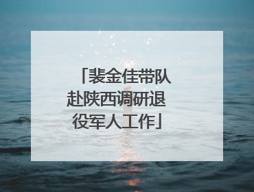 裴金佳带队赴陕西调研退役军人工作