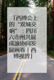 西博会上的“双城交响”：四川六市州共展成渝协同发展画卷｜西博视界
