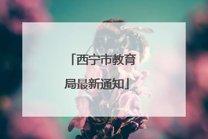 西宁市教育局最新通知
