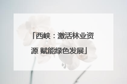 西峡：激活林业资源 赋能绿色发展