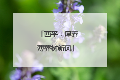 西平：厚养薄葬树新风