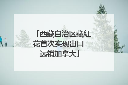 西藏自治区藏红花首次实现出口 远销加拿大