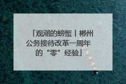 观潮的螃蟹丨郴州公务接待改革一周年的“零”经验