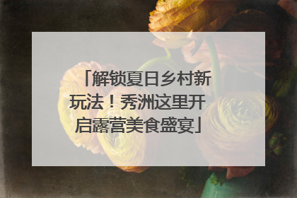 解锁夏日乡村新玩法！秀洲这里开启露营美食盛宴
