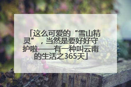 这么可爱的“雪山精灵”，当然是要好好守护啦——有一种叫云南的生活之365天